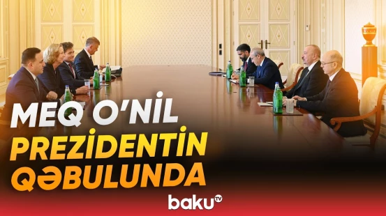İlham Əliyev bp şirkətinin baş icraçı direktoru ilə nələri müzakirə etdi? - Baku TV