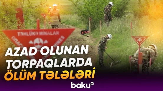 "Bu, Ermənistanın cavabdeh olduğu məsələdir" | Qarabağda mina təhlükəsi davam edir - Baku TV