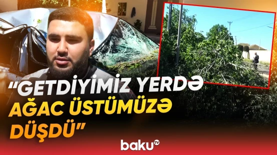 Ağcabədidə güclü külək ağacı kökündən qopardı: Ciddi fəsadlara səbəb oldu - Baku TV