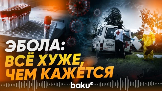 Скрытая угроза Эболы: мнения экспертов - Baku TV | RU
