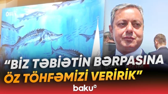 Xəzər dənizinə nərə cinsli balıq körpələri buraxılıb - Baku TV