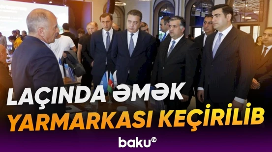 21 müəssisə tərəfindən 90-dək vakansiya təqdim olunub - Baku TV