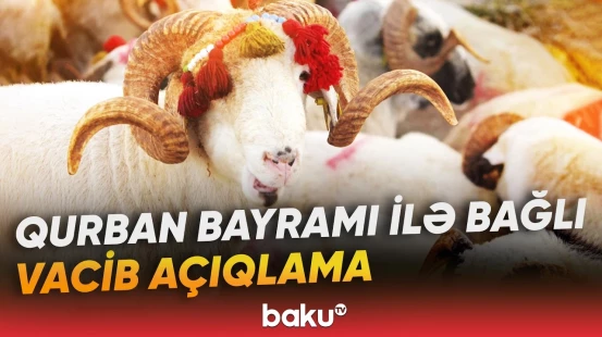 Bayramda qurban kəsmək istəyənlərin nəzərinə | AQTA-dan açıqlama - Baku TV