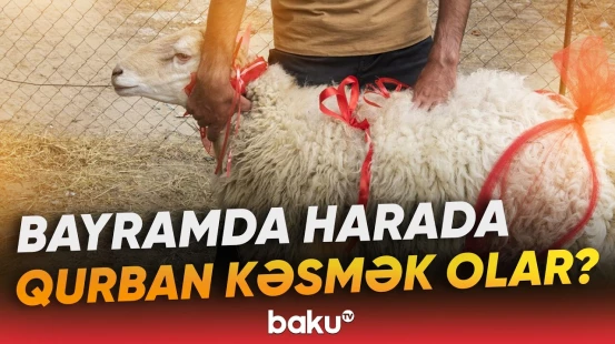 “10 kəsim məntəqəsi fəaliyyət göstərəcək” | AQTA-dan vətəndaşlara müraciət - Baku TV