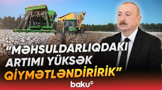 Ölkə başçısı investorları fabriklər qurmağa dəvət edib - Baku TV