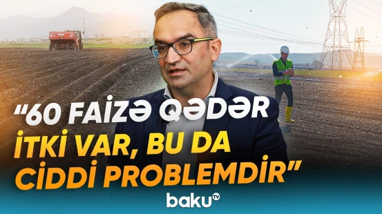 Kənd təsərrüfatı istehsalında dinamika niyə qaneedici deyil? - Baku TV