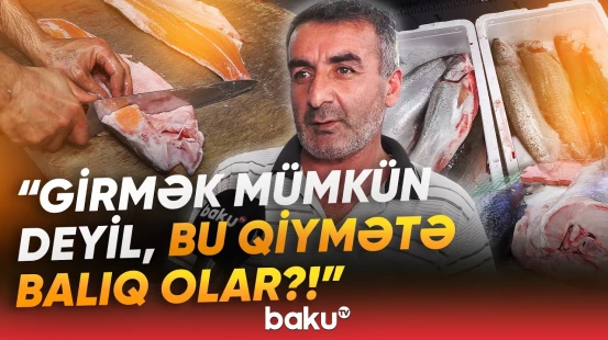 “Ucuz olan təkcə budur” | Balıq bazarında qiymətlər daha da əl yandıracaq? - Baku TV