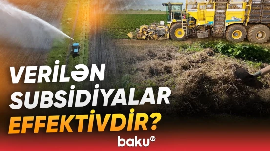 Kənd təsərrüfatı üzrə subsidiyalarla bağlı müzakirə yaradan məsələlər - Baku TV