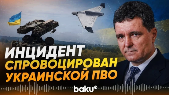 Никушор Дан: Инцидент с беспилотником в Галаце спровоцирован украинской ПВО - Baku TV | RU