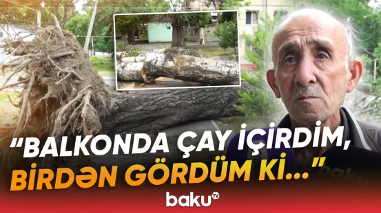 "Bir də onu gördük ki, aşıb" | Külək bir sıra bölgələrdə fəsadlar törətdi - Baku TV