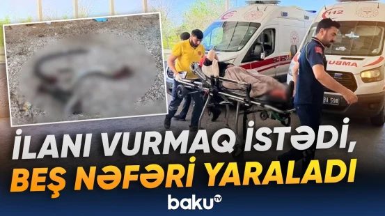 Türkiyədə tüfəng ilə ilanı öldürmək istəyən şəxs faciəyə səbəb oldu - Baku TV