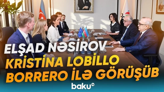 Cənub Qaz Dəhlizinin strateji rolu vurğulanıb - Baku TV