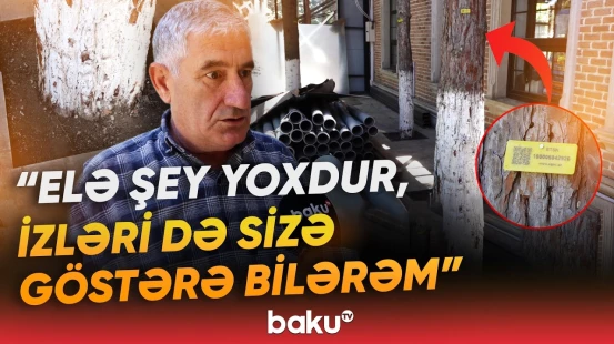 "Burada olan mənəm, kəsilmiş olsa..." | Bakıxanovdakı parkda nə baş verir? - Baku TV