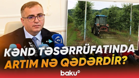 Nazir müavini kənd təsərrüfatı üzrə dinamikadan və görülən işlərdən danışdı - Baku TV