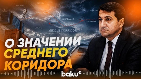 Хикмет Гаджиев выступил в онлайн-формате на Транскаспийском форуме - Baku TV | RU