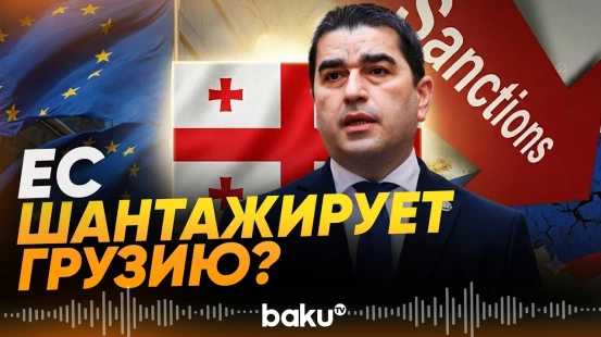 Реакция Папуашвили на требование ЕС ввести антироссийские санкции - Baku TV | RU