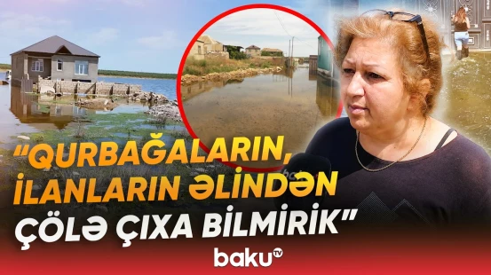 Məmmədlidə sakinlər kömək gözləyir | Ərazidə zəhərli heyvanların peyda olduğu iddia edilir - Baku TV