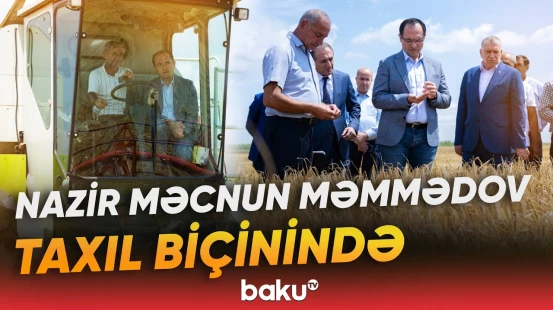 Nazir Məcnun Məmmədov taxıl biçini prosesinin gedişi ilə yaxından maraqlandı - Baku TV