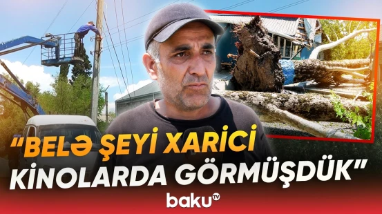 Güclü külək və dolu Göyçayda həyatı iflic etdi - Baku TV