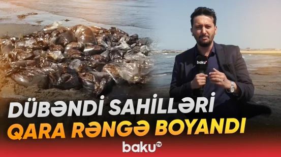 Xəzər sahilində genişmiqyaslı çirklənmə: Neft qalıqları aşkarlandı - Baku TV