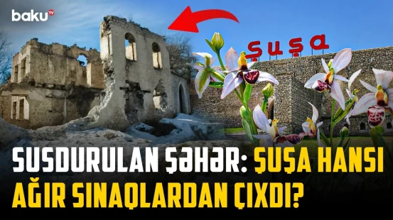 Şuşa – sərhədlərə sığmayan şəhərin həqiqətləri | İllərin yarası necə sağaldı?