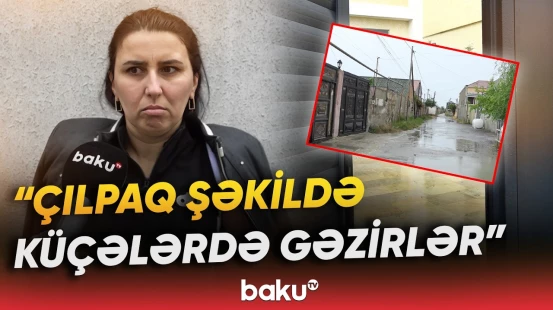 "Ev yiyəsi deyib ki..." | Bağ evində səs-küy salanlar sakinləri bezdirdi | "Hər gün biri gəlir"