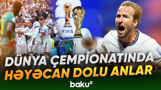 Bakıdakı UFC turnirinin yekun statistikası açıqlandı | Yeni idman xəbərləri - Baku TV