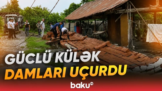 Qaxda güclü külək sakinlərə çətin anlar yaşatdı | Dam örtükləri uçdu, ağaclar yollara aşdı - Baku TV