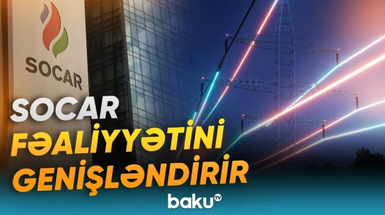 Ziba Mustafayeva şirkətin fəaliyyət istiqamətləri barədə məlumat verib - Baku TV