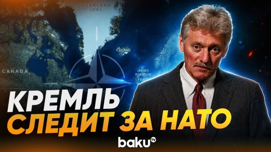 Песков заявил, что Москва внимательно следит за саммитом НАТО в Анкаре - Baku TV | RU