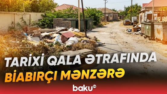 "Zibil qabı boşdur, zibili yerə atırlar" | Abadlaşdırılan ərazini kimlər çirkləndirir? - Baku TV