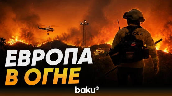 На юге Испании бушуют лесные пожары - Baku TV | RU