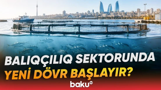 Milli Məclis balıqçılıq və akvokultura haqqında qanun layihəsini təsdiqləyib - Baku TV