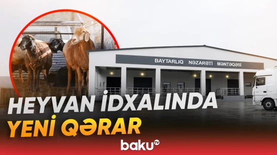 Ölkəyə idxal olunan heyvanlarla bağlı yeni qaydalar tətbiq ediləcək - Baku TV