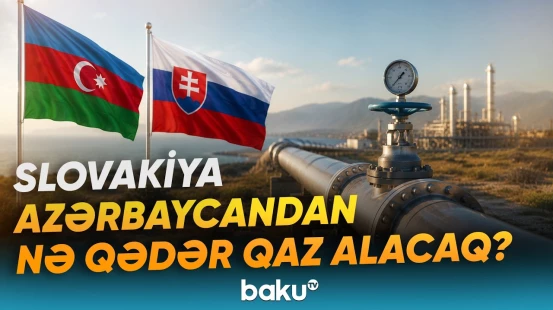 Slovakiya Azərbaycanla uzunmüddətli əməkdaşlığa hazırlaşır? - Bu tarixdən... - Baku TV