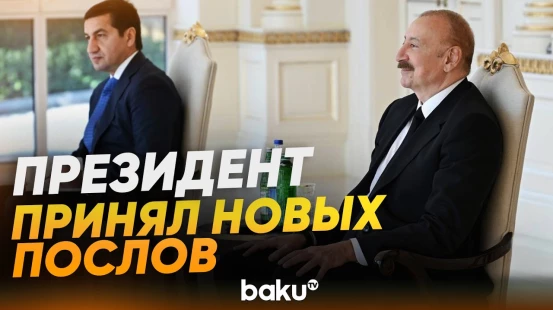 Ильхам Алиев принял новоназначенных послов Бразилии, Камбоджи, Омана  и Ирландии - Baku TV | RU