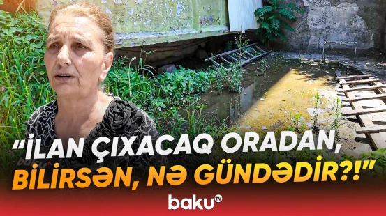 "İy gəlir, baxan yoxdur" - Əhali acınacaqlı durumdan bezib | "Binanın altı su ilə doludur" - Baku TV
