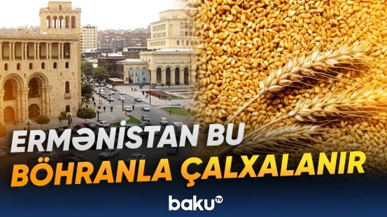 Ermənistanda taxıl əkin sahələri son on ildə kəskin şəkildə azalıb - Baku TV