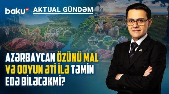 Azərbaycanda kənd təsərrüfatının ən ağır problemi niyə heyvandarlıqdır? - AKTUAL GÜNDƏM