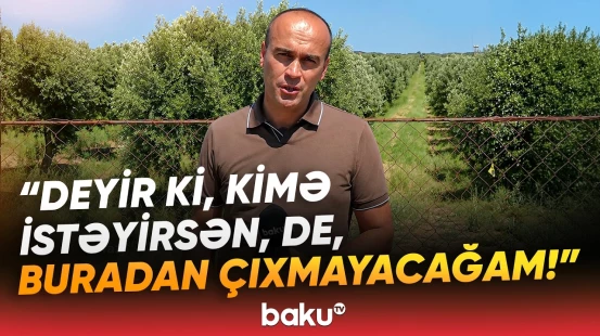 Qalmaqal: İş adamı Zirə sakininin atasından qalma 12 hektar torpağını əlindən alıb? - Baku TV