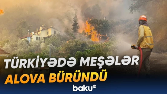 Türkiyədə 4 vilayətdə meşə yanğınları hökm sürür | 1 yaşayış məntəqəsi təxliyə edilib - Baku TV