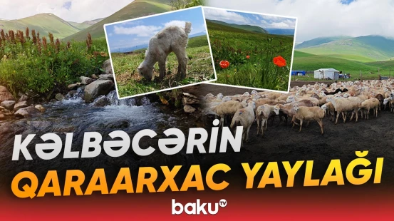 Ata-baba yurdlarda hansı ənənələr yaşadılır? - Baku TV