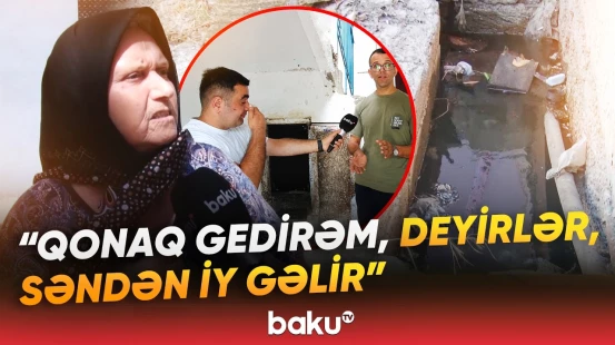 Mikrob yuvasına çevrilən bina | Antisanitar vəziyyət sakinləri təngə gətirdi - Baku TV