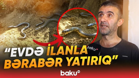 Görədildə torpaq sürüşdü, evlər qəzalı vəziyyətə düşdü - Baku TV