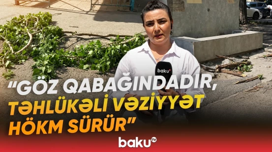 Nizami rayonunda güclü külək sakinlərə təşviş yaşatdı | Əməkdaşımız hadisə yerində - Baku TV