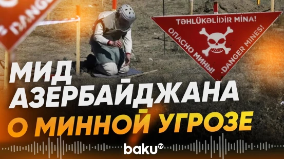 МИД АР призывает активизировать международную поддержку в борьбе с минной угрозой - Baku TV | RU