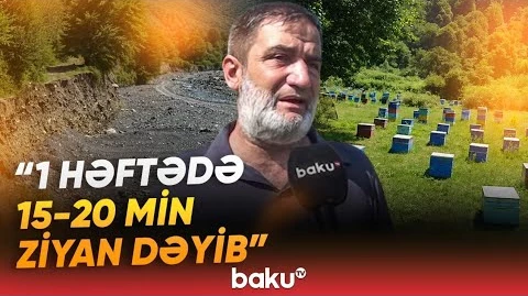 "Baxımsızlıqdan 250 min ailə qalıb" | Arıçıların başına oyun açan hadisə - Baku TV