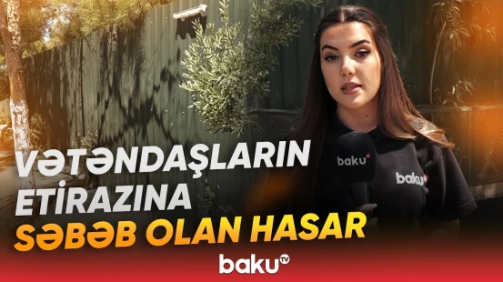 Meşə fonduna aid torpaqlar hasarlanıb? | Ərazidə nə baş verir? - Baku TV