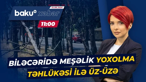 Ağaclar bir-bir quruyur | Binəqədidəki problemi kim həll etməlidir? - Baku TV CANLI