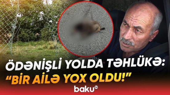 "Gecələr çox olur, anidən çıxır..." | Ödənişli yol niyə ölüm saçır? - Baku TV